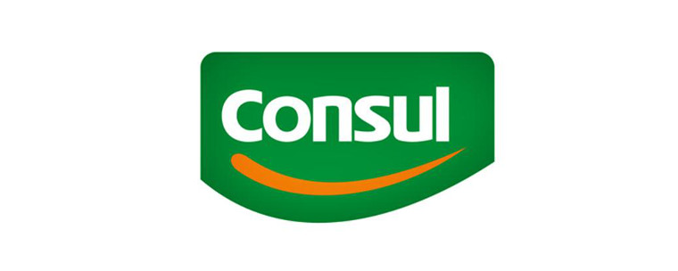 Microondas, Conserto, Manuteno